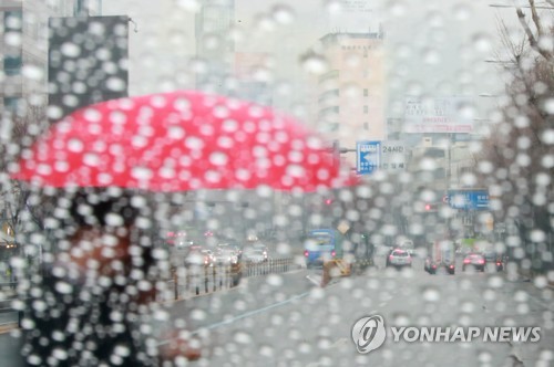 ▲ 우산을 쓴 채 횡단보도를 건너는 시민[연합뉴스 자료사진]