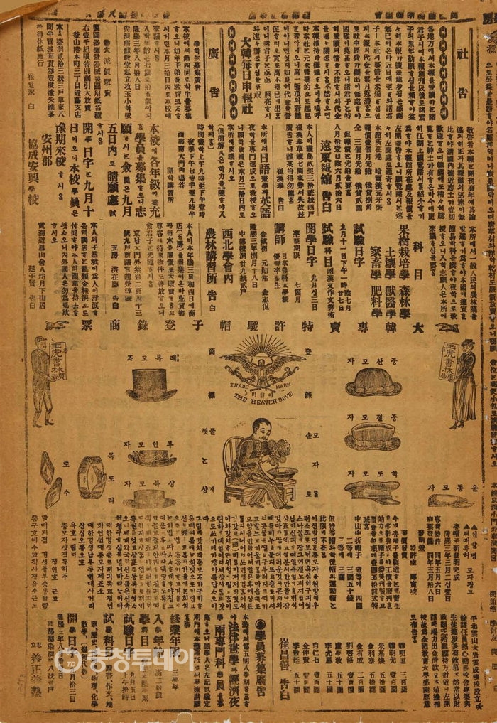 ▲ 1909년 8월 24일자 대한매일신보 3면에 실린 말총모자 광고. 특허청 제공