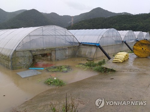 충북 옥천군 동이면 적하리의 비닐하우스가 물에 잠겨 있다. 연합뉴스