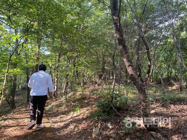 국립숲체원에 다양한 맞춤형 코스가 조성돼 산책을 즐길 수 있다. 박효진 인턴