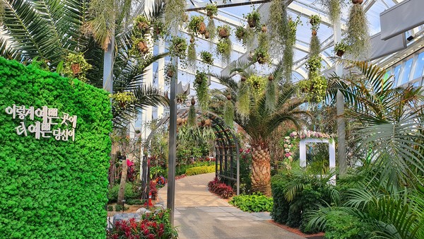 213여 종류의 열대식물을 만나볼 수 있는 레인보우식물원의 모습. 사진=윤지수 기자