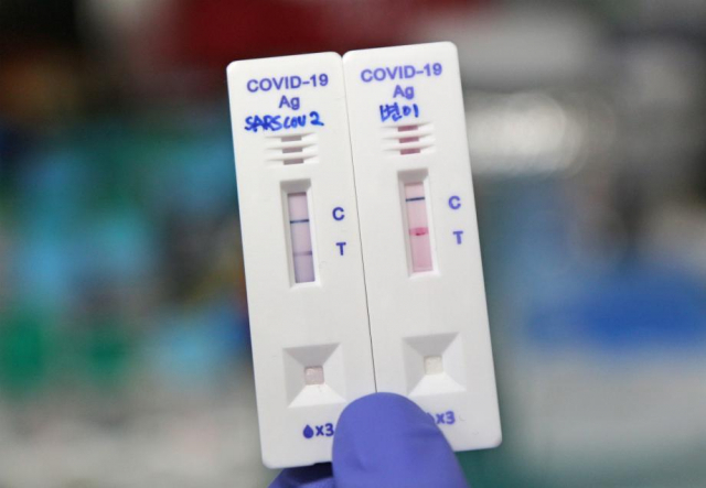 화학연 신종바이러스 융합연구단이 코로나19 변이 항원을 검출할 수 있는 현장 신속진단 기술 개발에 성공했다. 화학연 제공