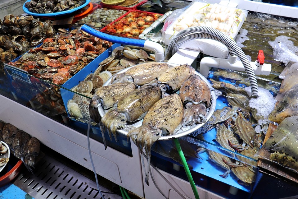 수산물동에서 판매하는 갑오징어 선어