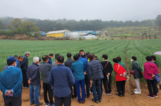 강원시 삼척시 농민들이 홍성의 마늘재배 현장에서 홍성군농업기술센터 관계자의 설명을 듣고 있다.<사진=홍성군 제공>