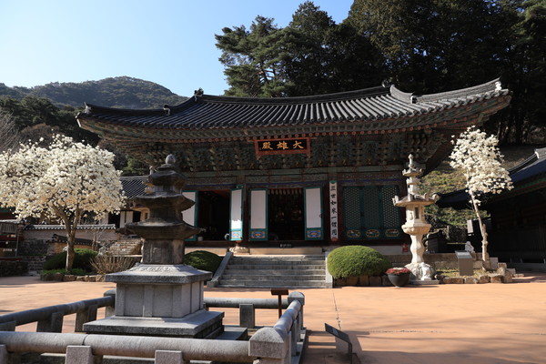 계룡산 동학사. 사진=이심건 기자