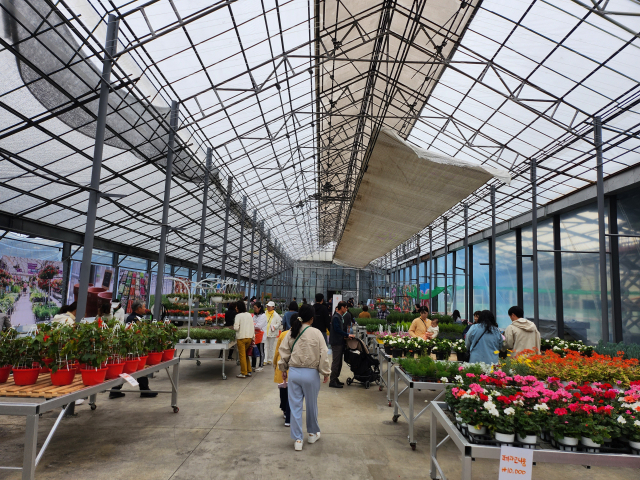 도고 세계꽃식물원을 찾은 관람객들이 리아프가든센터에서 쿠폰과 교환할 식물 및 원예용품을 고르고 있다. 아산= 이 봉 기자