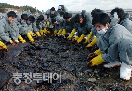 2007년 12월 태안 기름유출사고가 발생했다. 자원봉사자들이 기름을 닦고 있다. 충청투데이 DB
