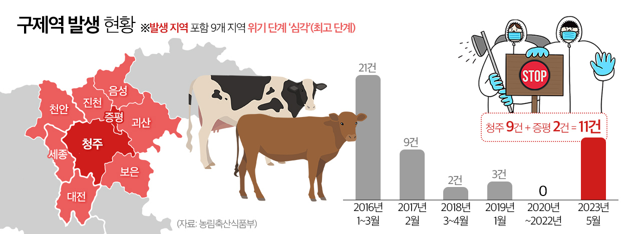 구제역 발생 현황. 그래픽 김연아 기자. 
