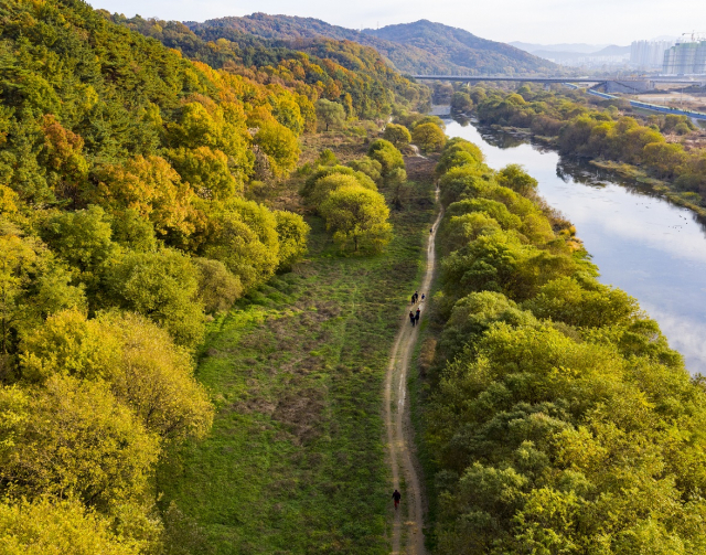 5일 국가습지보호지역으로 지정된 갑천 자연하천구간 일원. 대전시 제공