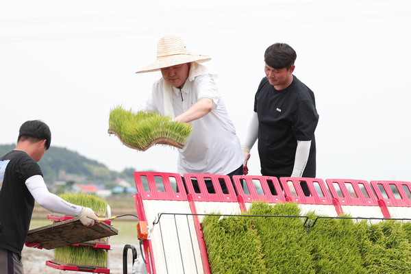 윤석열 대통령이 7일 찾은 충남 부여 모내기 현장에서 직접 모판을 나르고 있다. 대통령실 제공