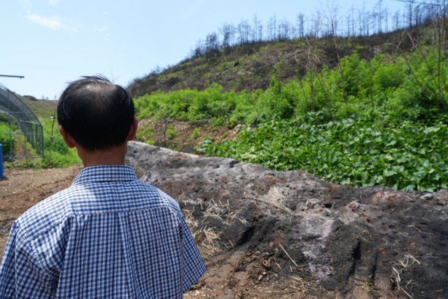 전용철 씨가 산불 피해를 입은 자신의 집 뒷마당을 보고 있다. 사진=김지현 기자