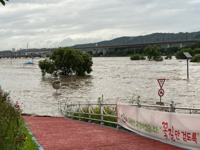 14일 대전에 내린 폭우로 인해 갑천변의 수위가 높아지면서 원천교 인근 산책로를 포함한 나무와 시설물들이 물에 잠겨있다. 사진=김윤주 기자