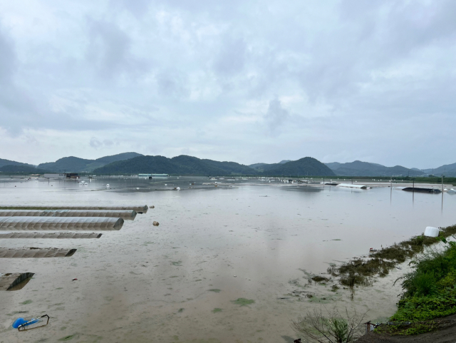 집중된 폭우로 인한 청양지역 피해 규모가 추정 피해액 312.2억 원으로 집계된 가운데 청양군이 인력과 장비를 총동원해 긴급 복구에 임하고 있다.