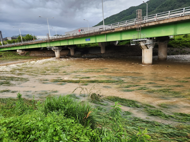 폭우로 불어난 대전 동구 대전천. 사진=김성준 기자