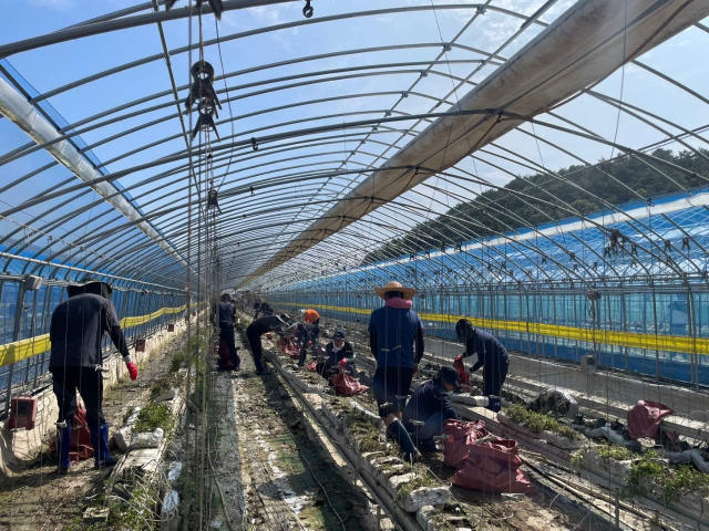 홍성군 공직자들이 청양 수해피해 복구 지원 나섰다. 사진 홍성군 제공