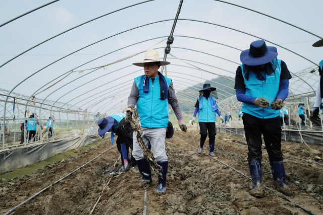 2일 윤석대 한국수자원공사 사장을 포함한 임직원 100여명은 특별재난지역으로 선포된 충남 청양군을 찾아 피해복구 지원 활동을 진행했다. 한국수자원공사 제공
