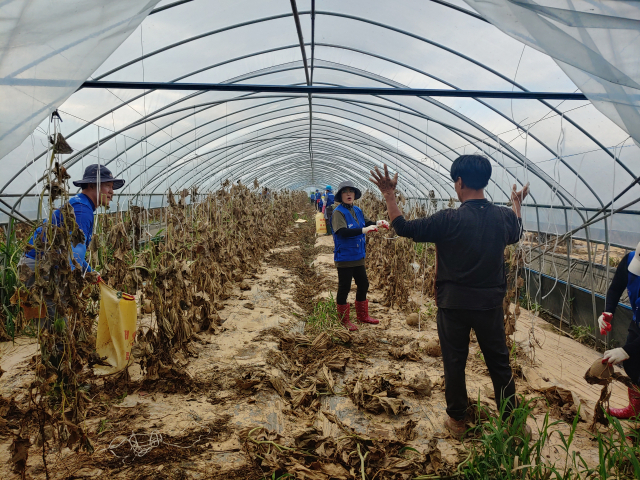 ▲계룡시자원봉사센터 관계자 23명은 수해 피해를 입은 농가를 찾아 봉사활동을 실시했다.