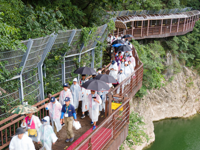 일본 스카우트 대원들 단양에서 2박 3일 이모저모. 사진은 단양강 잔도를 걷고 있는 모습. 단양군 제공