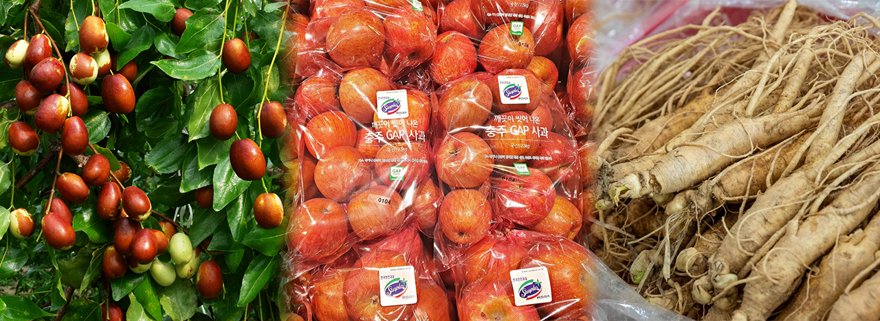 보은 대추, 충주 사과, 증평 인삼. 