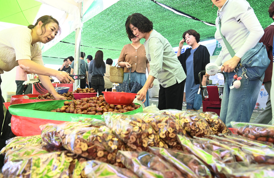 1일 대전 서구 보라매공원에서 열린 제21회 아줌마대축제를 찾은 시민들이 농수축산물을 살펴보고 있다. 이경찬 기자 chan8536@cctoday.co.kr