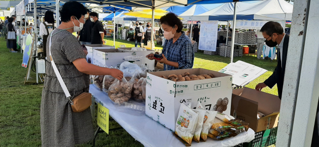 작년 충남도청 남문 잔디광장에서 열린 추석맞이 충남 큰 장터에 참가한 서산시 농특산물 부스를 찾은 한 시민이 서산표고버섯을 구매하고 있다. 서산시 제공