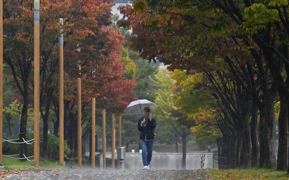 가을비가 내린 19일 울긋불긋 낙엽이 물들어 가고 있는 대전 서구 탄방동에서 우산을 쓴 시민이 발걸음을 재촉하고 있다. 이경찬 기자 chan8536@cctoday.co.kr