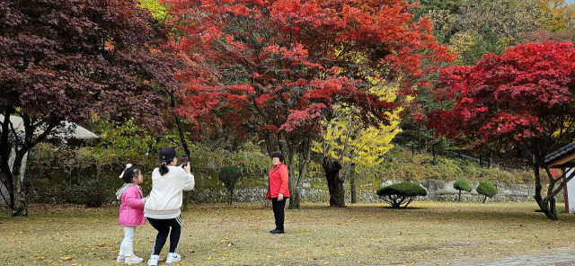 단풍을 배경으로 기념사진을 찍고 있는 가족들.제천=이대현 기자