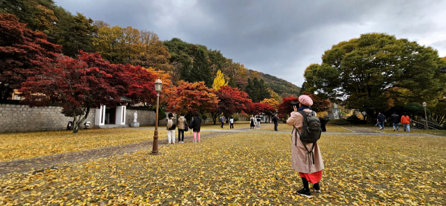 단풍을 즐기는 시민과 관광객들.제천=이대현 기자