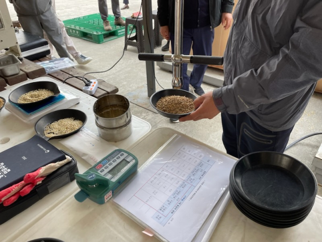 가루쌀 공공비축미 매입 검사 현장 부여군제공