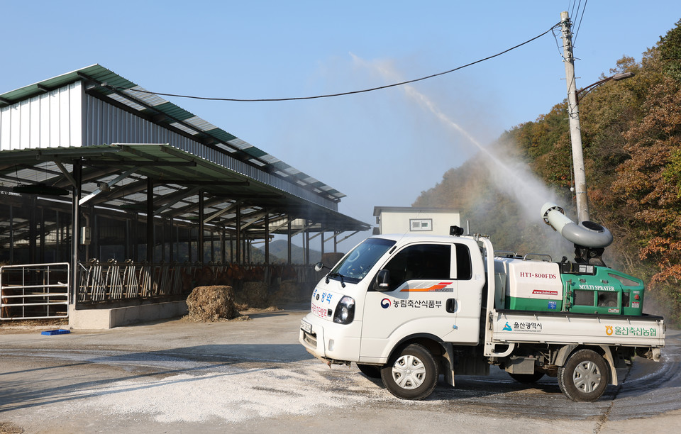 한 축산농가에서 럼피스킨병 확산 방지를 위한 방역 작업이 이뤄지고 있다. 사진=연합뉴스.