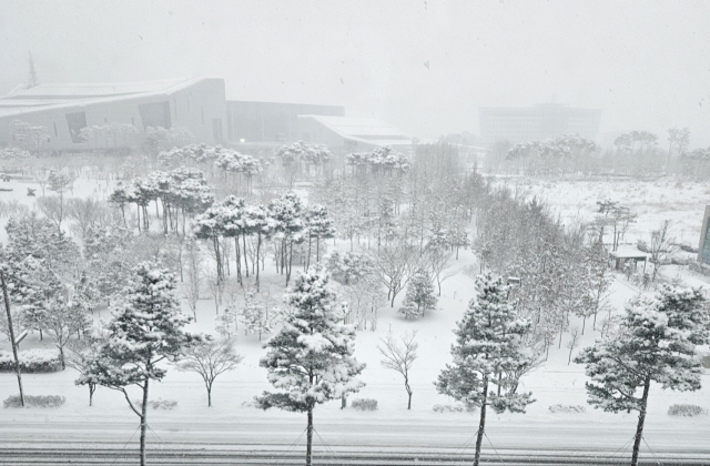 21일 충남 내포신도시. 연이은 폭설에 충남도청과 앞 공원이 눈으로 뒤덮였다. 김중곤 기자
