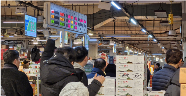 6일 대전 대덕구 오정농수산물도매시장에서 과일 경매가 한창인 모습. 사진=강승구 수습기자
