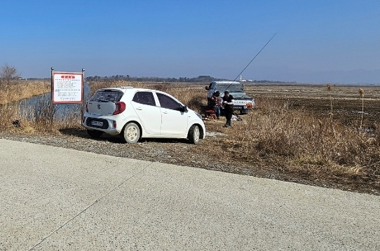 12일 서산 천수만 A지구 일원의 한 농수로에서 낚시객들이 낚시 금지 현수막이 있음에도 불구하고 버젓이 차를 대고 낚시를 준비 중인 모습. 독자 제공
