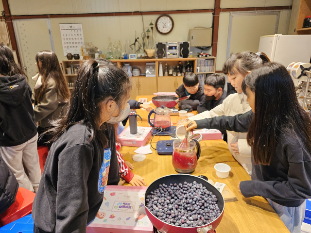 아이들이 블루베리를 활용한 젤리 체험키트로 젤리를 만들고 있다. 사진 홍성군 제공