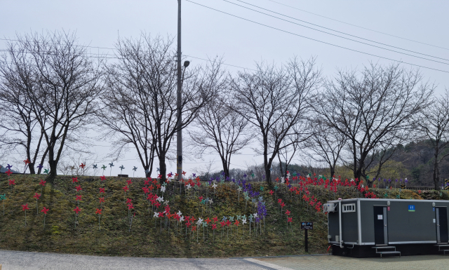 29일부터 시작될 대전 대청호 벚꽃축제 준비 현장. 벚꽃나무가 아직 가지만 앙상하다. 독자 제공