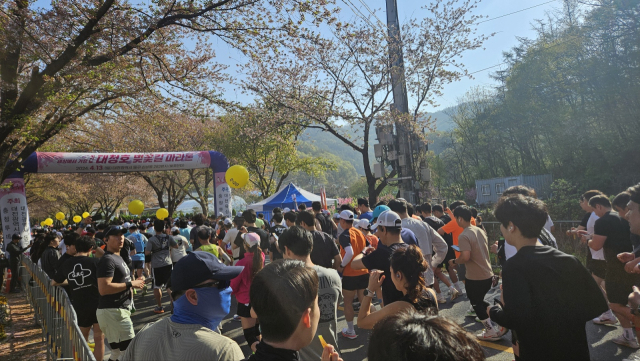 2024 벚꽃길 마라톤 대회 참가자들이 신나게 달리고 있다. 사진=김중곤 기자