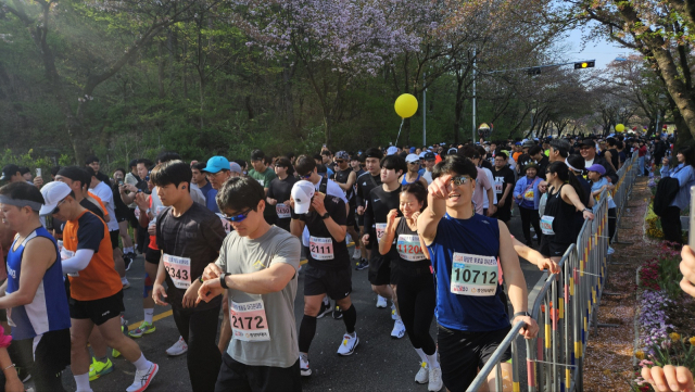 2024 벚꽃길 마라톤 대회 참가자들이 신나게 달리고 있다. 사진=김중곤 기자