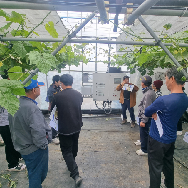 영동군은 ‘찾아가는 스마트팜 순회교육’을 성공적으로 마무리했다.