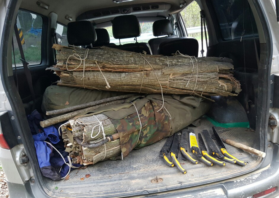 임산물 불법 채취[연합뉴스 자료사진]