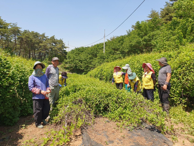단양군 일손지원 기동대가 농사뿐만 아니라 농가 복구에도 두 팔 걷고 나섰다. 사진은 일손지원 기동대 모습. 단양군 제공