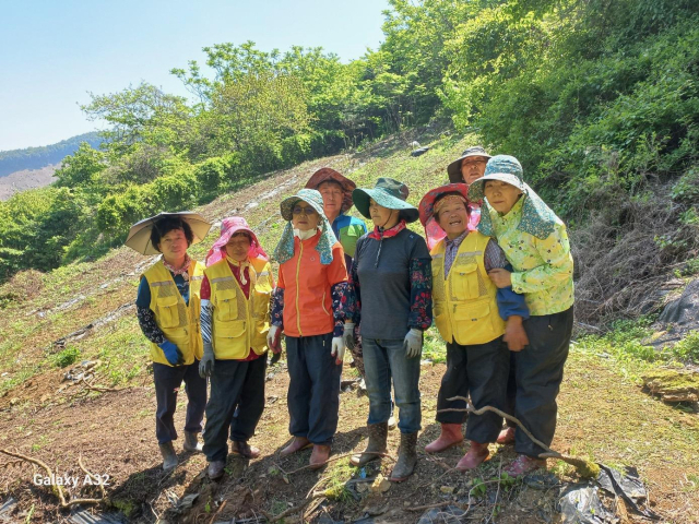 단양군 일손지원 기동대가 농사뿐만 아니라 농가 복구에도 두 팔 걷고 나섰다. 사진은 일손지원 기동대 모습. 단양군 제공