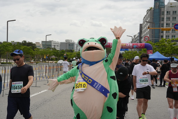 충남 홍성에 사는 박기덕(41) 씨가 11일 충남 내포신도시 홍예공원에서 개최된 제1회 내포마라톤대회에 개구리 옷을 입고 참가해 눈길을 끌었다. 사진=김지현 기자