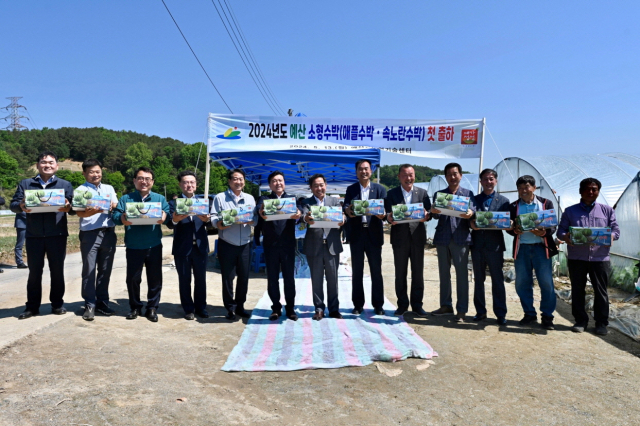 예산군 신양면의 소형수박 재배농가에서 최재구 예산군수, 강승규 국회의원 당선인, 도의원, 군의원 등이 소형수박 첫 출하 기념촬영을 하고 있다. 예산군 제공