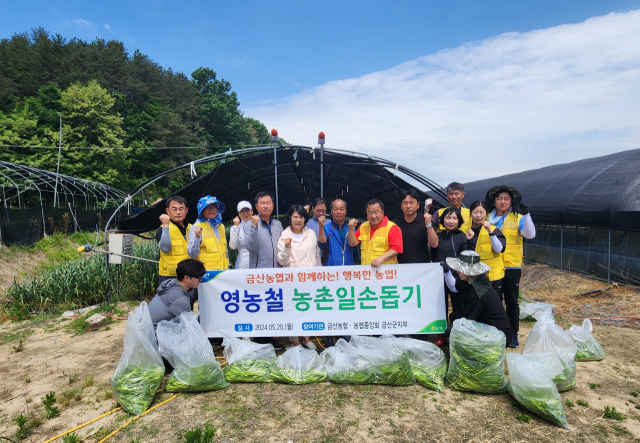 금산농협·농협중앙회 금산군지부 영농철 농촌일손돕기 나서 사진=농협금산군지부