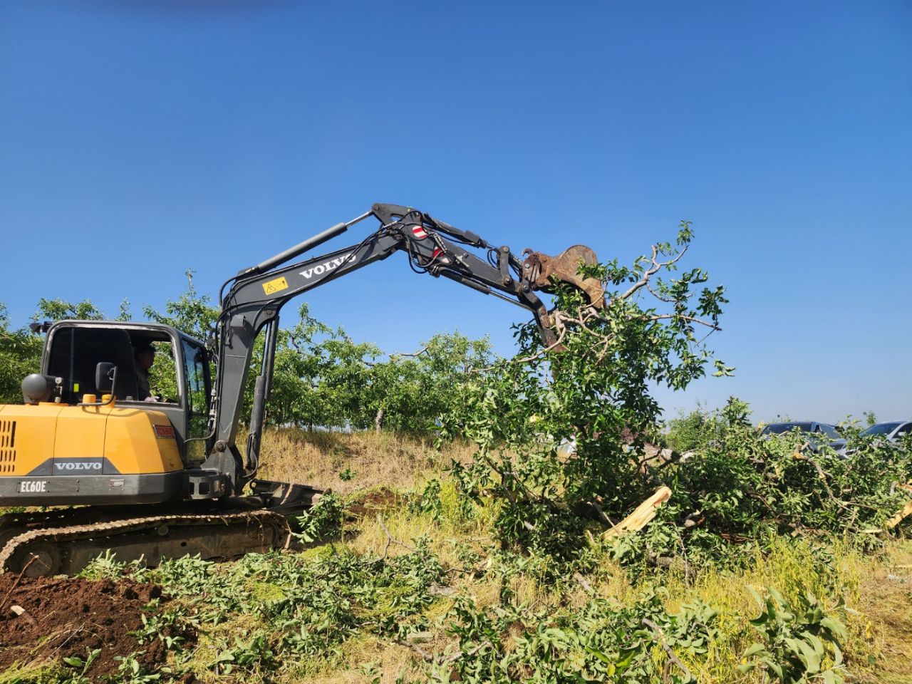14일 충북 충주시 동량면 조동리의 과수원에서 과수화상병 감염이 확인된 사과나무를 매몰 처리하고 있다. 2024.5.14 [충주시 제공. 재판매 및 DB 금지]