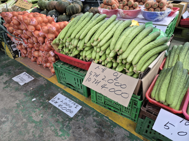 22일 대전 대덕구 오정동 농수산물 시장에서 오이가 5개 2000원에 판매되고 있다. 사진=강승구 기자