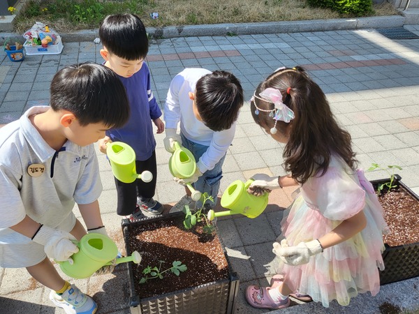 ▲ ‘함께 식물기르기’ 프로그램 통한 유치원-초등 교육과정 운영 연계성 강화 활동 사진.  대전시교육청제공