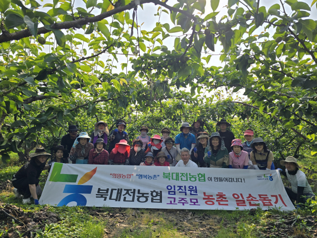 지난 7일 대전 유성구 전민동 배 농장에서 진행된 북대전농협 임직원 및 고향주무모임 농촌일손돕기 활동 사진.대전농협 제공.