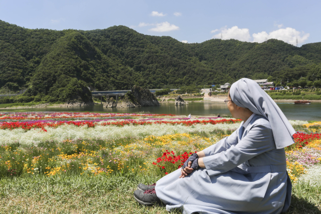 전국에서 인정한 단양 도담삼봉이 올해도 10위에 랭크됐다. 도담삼봉과 형형색색 꽃이 만개한 도담정원이 어우러졌다. 단양군 제공