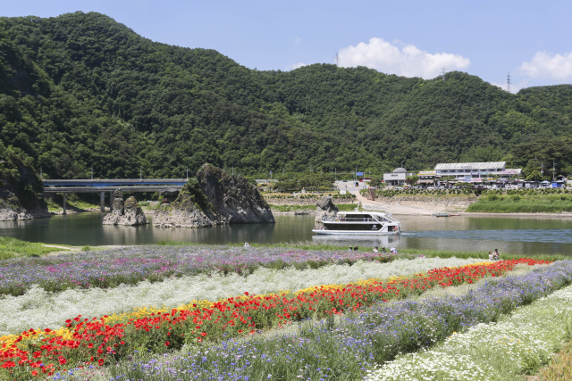 전국에서 인정한 단양 도담삼봉이 올해도 10위에 랭크됐다. 도담삼봉과 형형색색 꽃이 만개한 도담정원이 어우러졌다. 단양군 제공